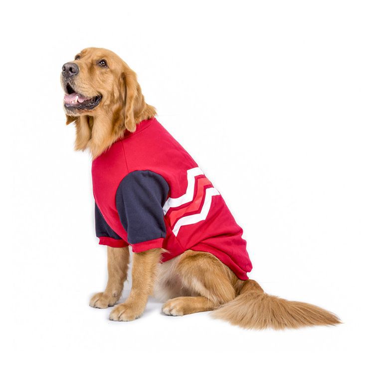 Cotton Dog Wave Sweater (Large)