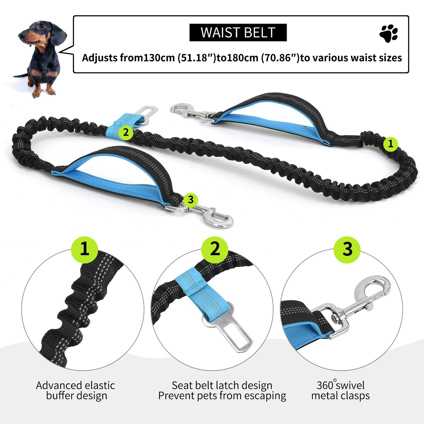 Multifunctional Waterproof Pet Waist Belt and Leash for Outdoor Activities