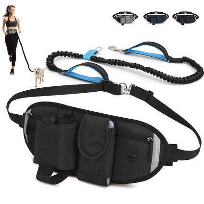 Multifunctional Waterproof Pet Waist Belt and Leash for Outdoor Activities