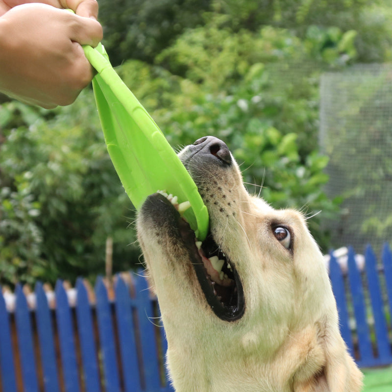 The Ultimate Dog Frisbee