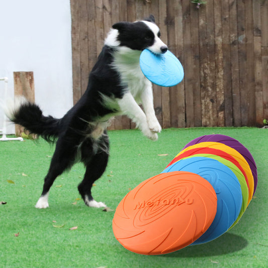 The Ultimate Dog Frisbee