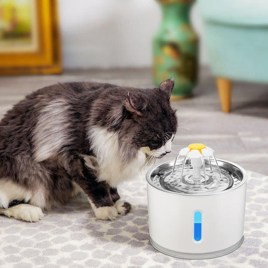 Automatic Pet Water Fountain